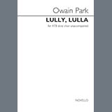 Carátula para "Lully, Lulla" por Owain Park