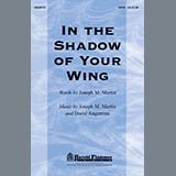 Joseph M. Martin In The Shadow Of Your Wing arte de la cubierta