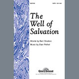 Carátula para "The Well of Salvation" por Stan Pethel