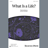 Cover Art for "What Is A Life?" by Jay Althouse