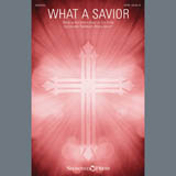 Cover Art for "What a Savior" by Tom Fettke