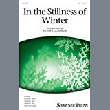 Cover Art for "In The Stillness Of Winter" by Victor C. Johnson