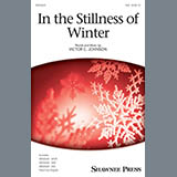 Abdeckung für "In The Stillness Of Winter" von Victor C. Johnson