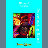 Cover Art for "Blizzard" by Terry White