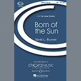 David Brunner - Born Of The Sun
