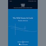 Abdeckung für "The Wild Swans at Coole" von Theodore Morrison
