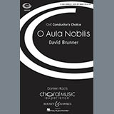 Cover Art for "O Aula Nobilis" by David Brunner