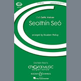 Cover Art for "Seoithin Seo" by Rosaleen Molloy
