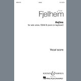 Frode Fjellheim - Aejlies
