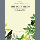 Cover Art for "The Lost Birds" by Christopher Tin
