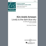 Cover Art for "Lovely Is The Dark Blue Sky (from Nordic Christmas)" by Kim André Arnesen