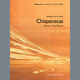 Chiapanecas (Mexican Clap Dance) - Percussion