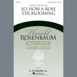 Carátula para "Lo, How A Rose E'er Blooming" por Harold Rosenbaum