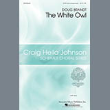 Cover Art for "The White Owl" by Doug Brandt