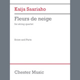 Cover Art for "Fleurs de neige" by Kaija Saariaho