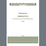 Cover Art for "Camera Picta" by Britta Buström