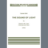 Cover Art for "The Sound Of Love" by Carsten Dahl