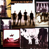 Hold My Hand (Hootie & The Blowfish - Cracked Rear View) Partituras