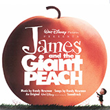 Couverture pour "My Name Is James (from James and the Giant Peach)" par Randy Newman