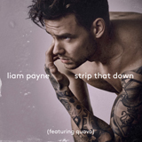 Couverture pour "Strip That Down (feat. Quavo)" par Liam Payne