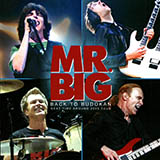 Cover Art for "Stay Together" by Mr. Big