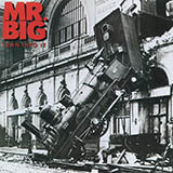 Mr. Big - Green Tinted Sixties Mind