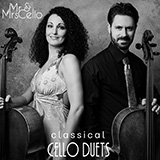 Mr & Mrs Cello - The Swan