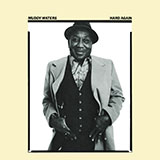 Cover Art for "The Blues Had A Baby And They Named It Rock And Roll" by Muddy Waters