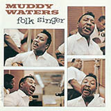Cover Art for "My Home Is On The Delta" by Muddy Waters