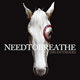 Cover Art for "Something Beautiful" by NEEDTOBREATHE