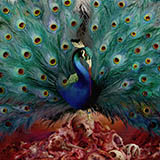 Cover Art for "Sorceress" by Opeth