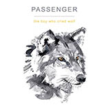 Cover Art for "Simple Song" by Passenger