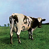 Cover Art for "Fat Old Sun" by Pink Floyd