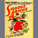 Abdeckung für "Saludos Amigos" von Charles Wolcott