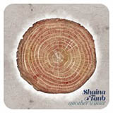 Shaina Taub Another Winter cover art