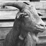 Paddy McGintys Goat