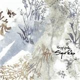 Cover Art for "Hoppipolla" by Sigur Ros