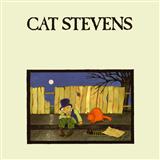 Cover Art for "Moonshadow" by Cat Stevens