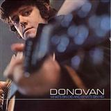Cover Art for "Catch The Wind" by Donovan