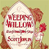 Cover Art for "Weeping Willow Rag" by Scott Joplin