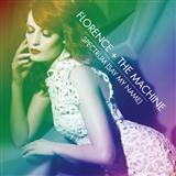 Cover Art for "Spectrum" by Florence And The Machine