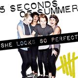 Cover Art for "She Looks So Perfect" by 5 Seconds of Summer