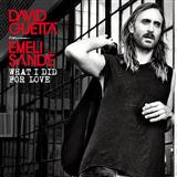 Cover Art for "What I Did For Love (featuring Emeli Sande)" by David Guetta
