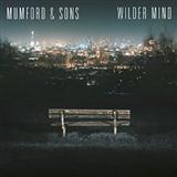 Cover Art for "Snake Eyes" by Mumford & Sons