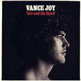 Carátula para "Fire And The Flood" por Vance Joy