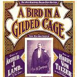 Cover Art for "A Bird In A Gilded Cage" by Maurice J. Gunsky