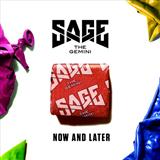 Cover Art for "Now And Later" by Sage the Gemini