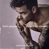 Liam Payne Strip That Down (featuring Quavo) arte de la cubierta