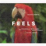 Abdeckung für "Feels (featuring Pharrell Williams, Katy Perry and Big Sean)" von Calvin Harris