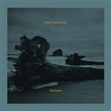 Peter Broderick Carried cover kunst